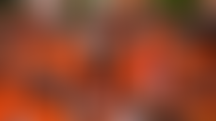 Movimiento Ciudadano ya tiene lista su fórmula estatal. ¿Una tercera opción para los yucatecos?