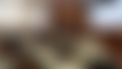 Reunião Geral da Operação