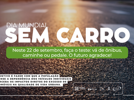 Dia mundial sem carro propõe cidades com menos trânsito e ar mais limpo