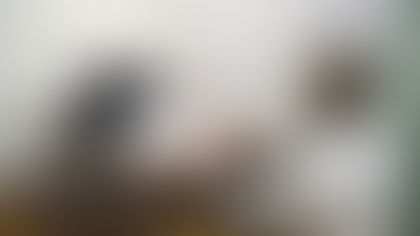 Flores 60 anos: 2014 a 2017, os últimos quatro anos da sexagenária Flores