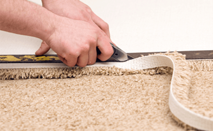 CARPET2.png