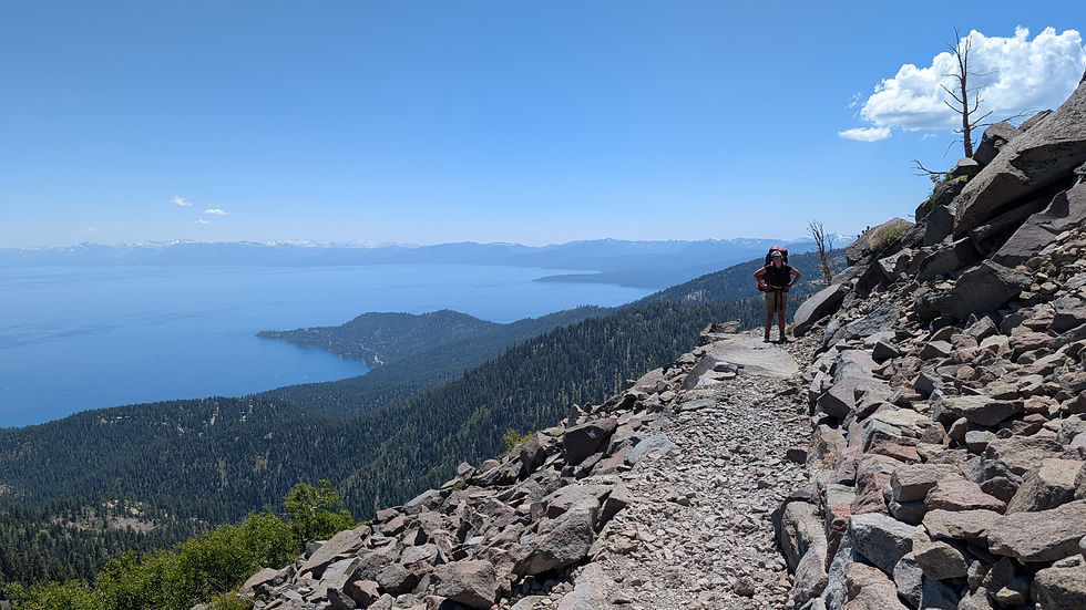 Here is "Tilley" heading to Reliable Springs Tahoe Rim Trail Mile 31.6 June 28th 2025