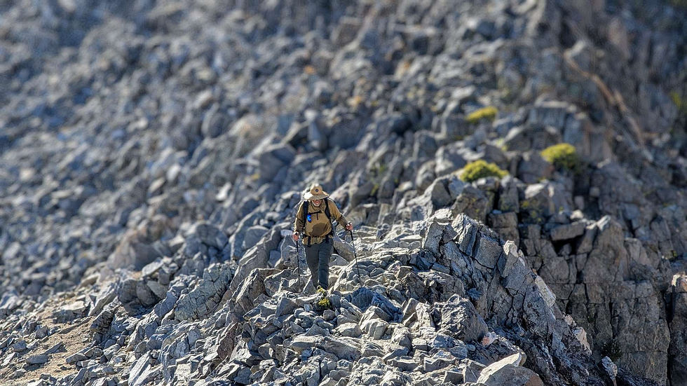 Hiker Ascending Glen Pass 11,926'
