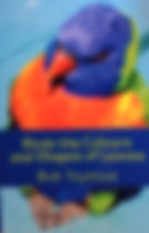 8850F083-0021-433E-904A-B08DF9266F40 - C