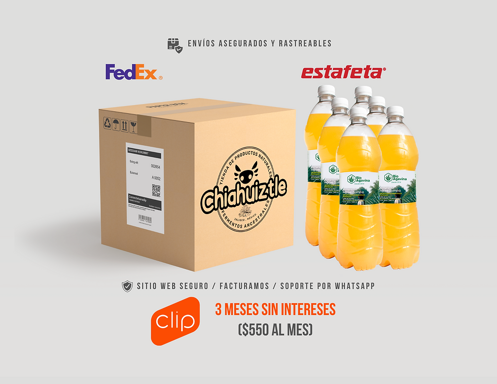 Fermentos de Agave Salmiana 3 meses de Consumo