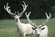 12362670_931334720285396_331357911225120