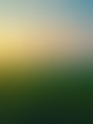 Top 3 Countries that run on almost 100% Renewable energy