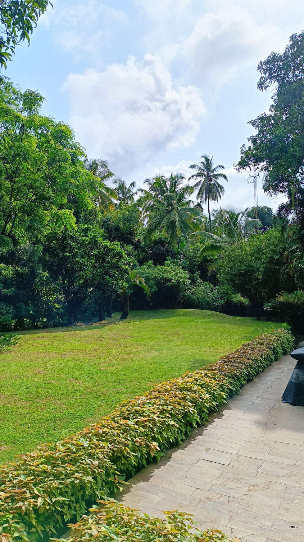 WhatsApp Image 2025-04-25 at 13.01.27