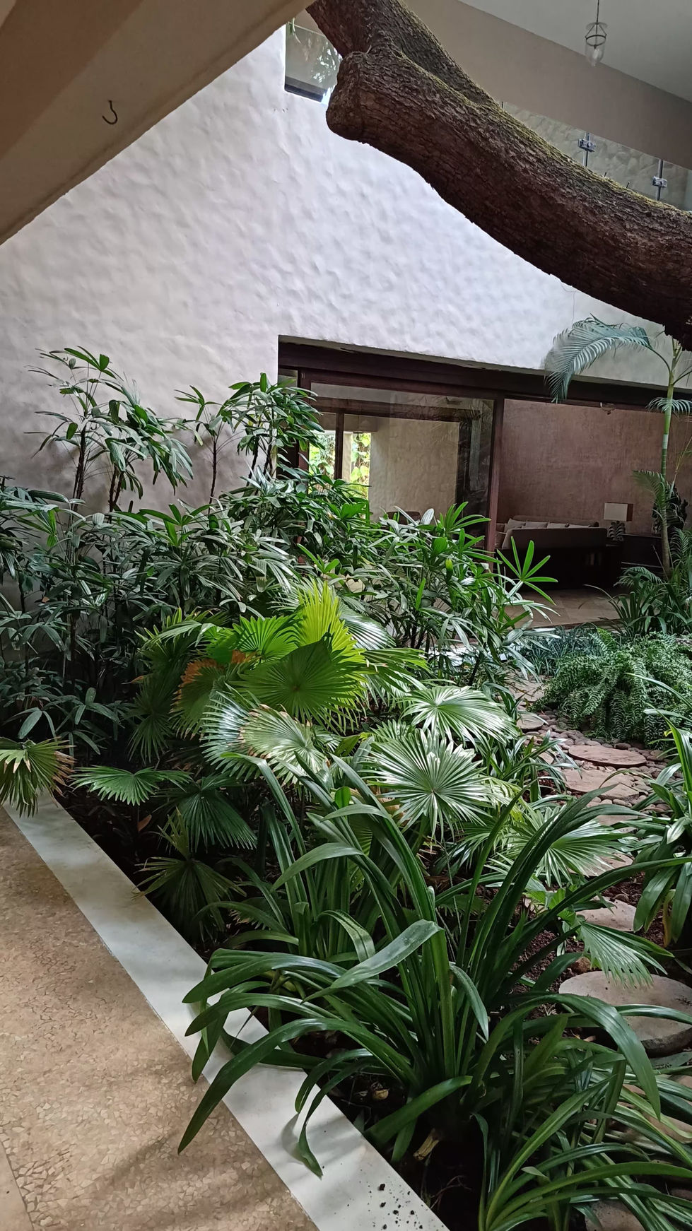 WhatsApp Image 2025-04-25 at 13.10.07