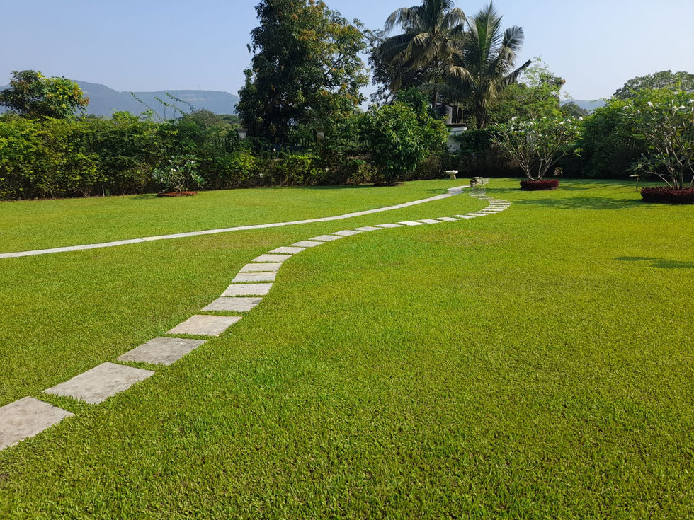 WhatsApp Image 2025-04-25 at 13.12.05