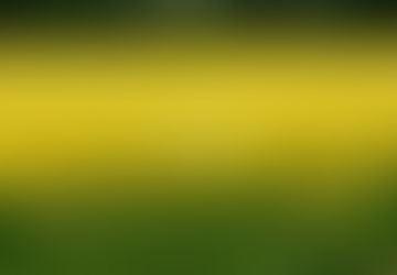 I Am In The Weeds