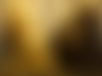 From Illusion to Awakening: The Twin Flame Transformation