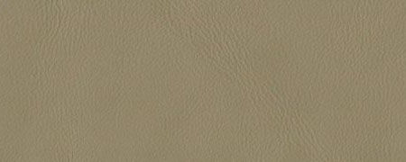 079 Silk Beige