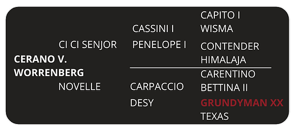 cerano.png
