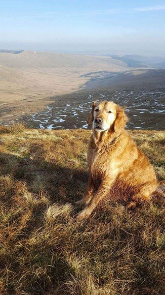 Pen y Fan Ebrill 2016 :)