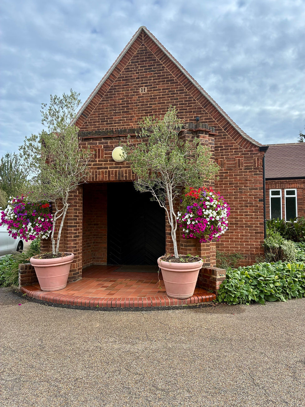 Funeral by London celebrant. Gunnersbury Chapel in West London decorated with two olive trees and colourful flower baskets.