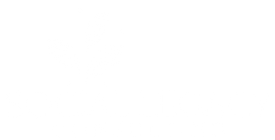 Logo - Social Legacy Consulting (20).png