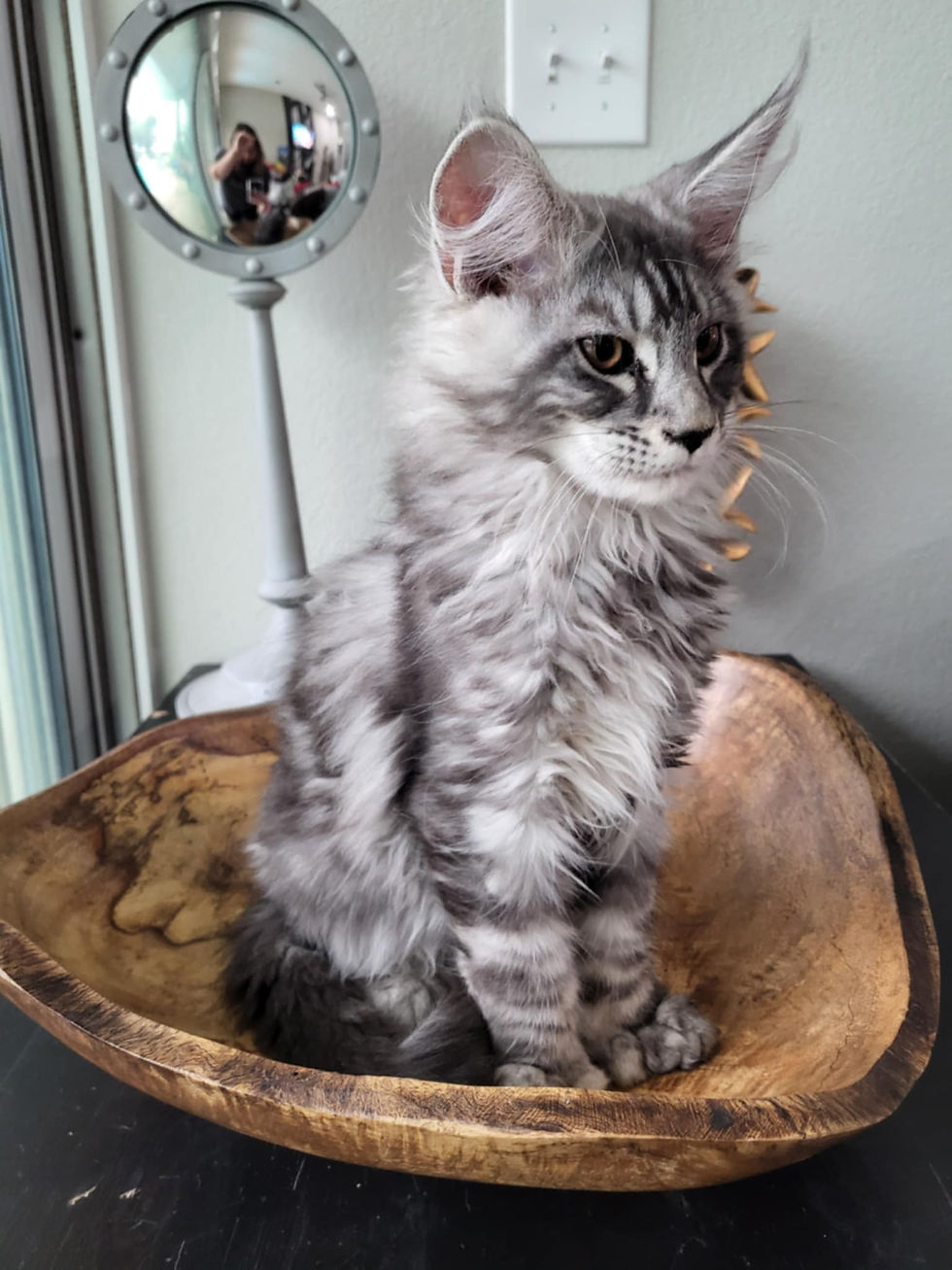 Thumbnail: Hendrix - 4 Months