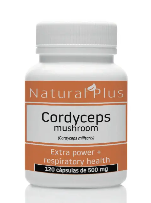 Hongo Cordyceps militaris - 120 cápsulas de 500 mg