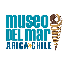 Museo del mar.png