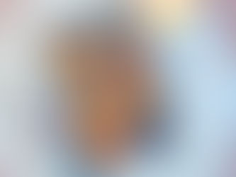 On Earth We're Briefly Gorgeous