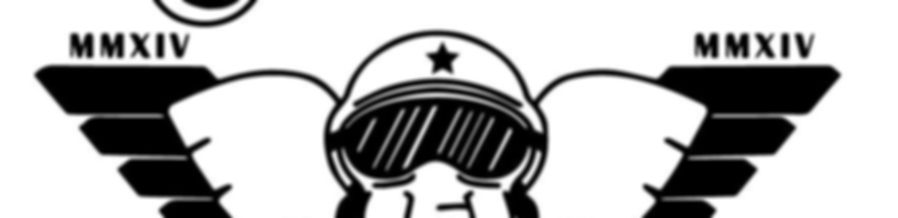 carriers elephant.png