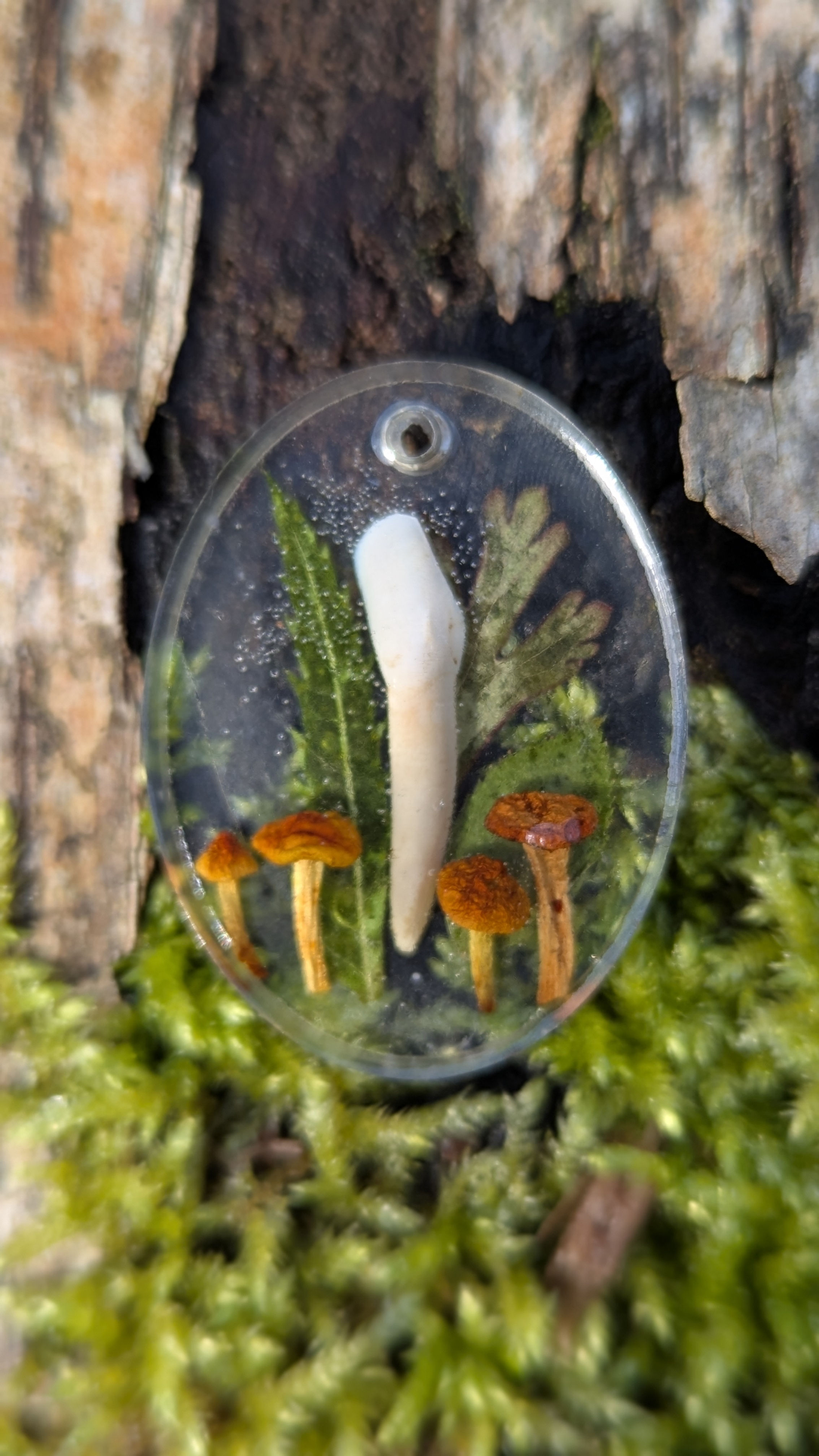 Stag Tooth & Mushroom Pendant 