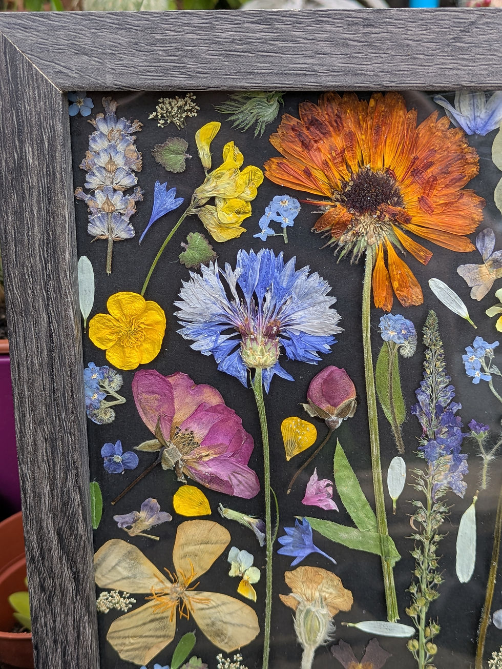 Thumbnail: Pressed Floral Collage - 10.7"x8.7" frame - RESERVED 