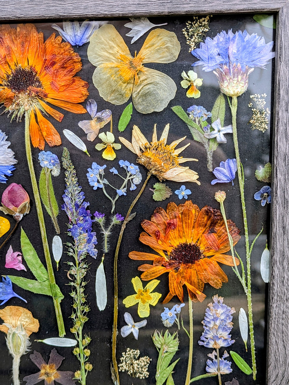 Thumbnail: Pressed Floral Collage - 10.7"x8.7" frame - RESERVED 
