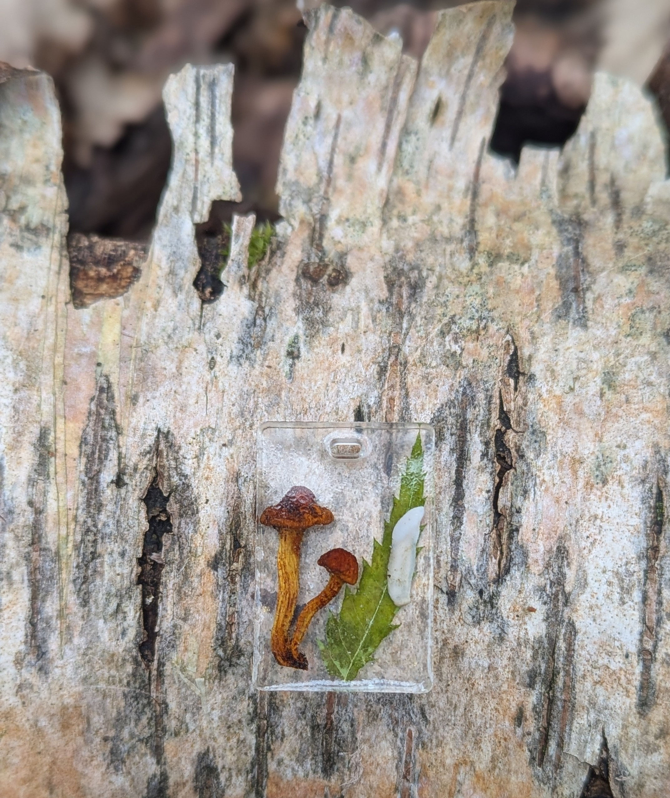 Fox Tooth, Mushroom & Floral Pendant  3cm