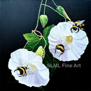 bees, morning glory flowers on black background