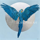 Blue Macaw over silver moon