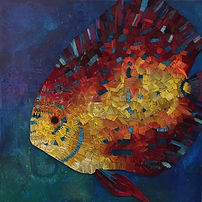 Discus Fish.jpeg