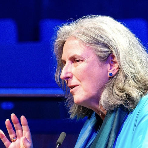 Mireille Hildebrandt