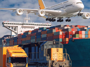 The ISPM-15 standard and its impact for companies that export