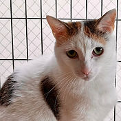 IMG_6156 2_edited.jpg