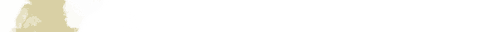 video-patch_edited.png