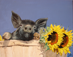 2014-01-cochon noir 1_edited