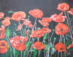 Coquelicots_1