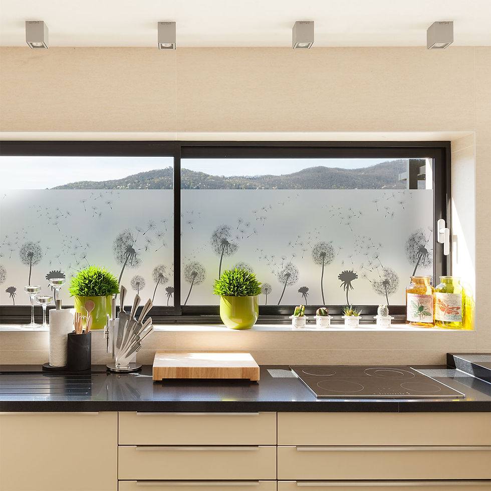 Thumbnail: Vinilo Esmerilado Impreso Traslucido - VC041