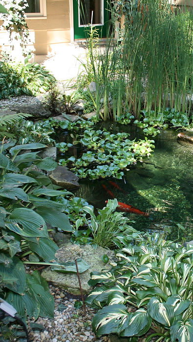 Copy%20of%20Small%20Pond%20with%20Small%