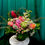 Thumbnail: Valentine's Day Large Arrangement
