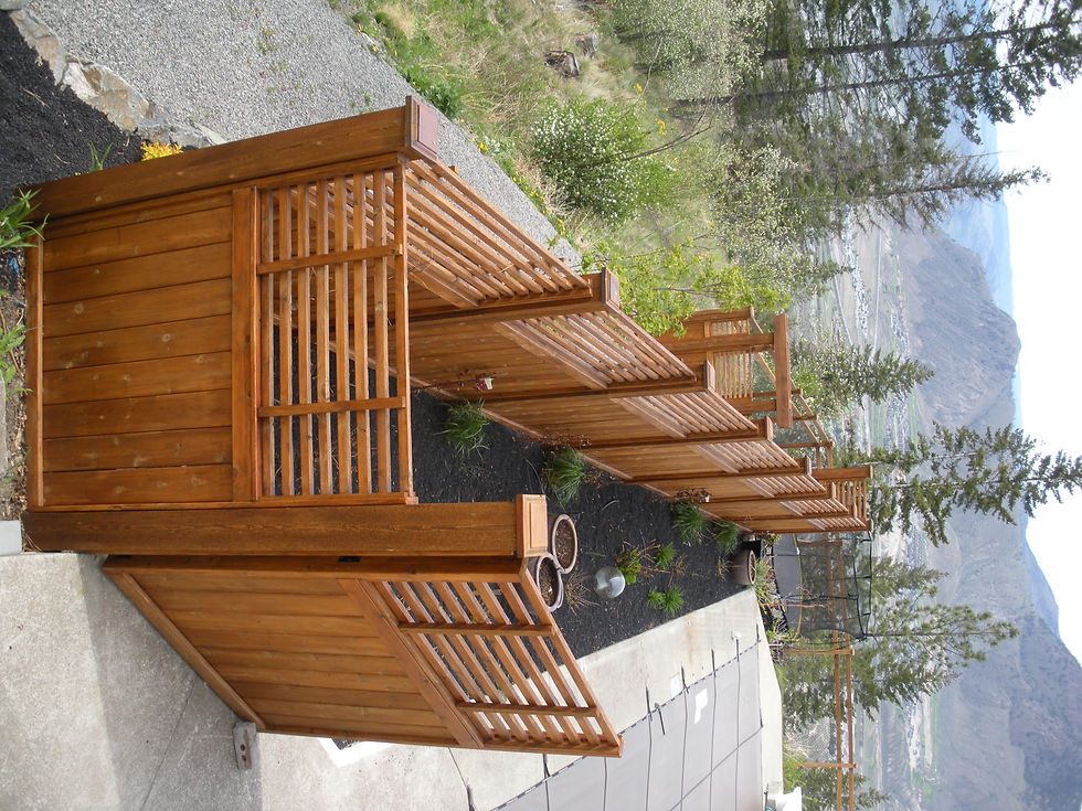 DSCN2510.JPG