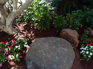 10487261_1489464147955724_33444866798176