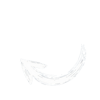 Arrow pointing to Never Silent's Actual Brain