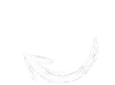 Arrow pointing to Never Silent's Actual Brain
