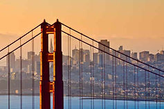 Business litigation attorney