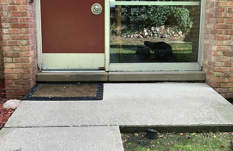 Concrete Lifting - Sidewalks - Detroit,