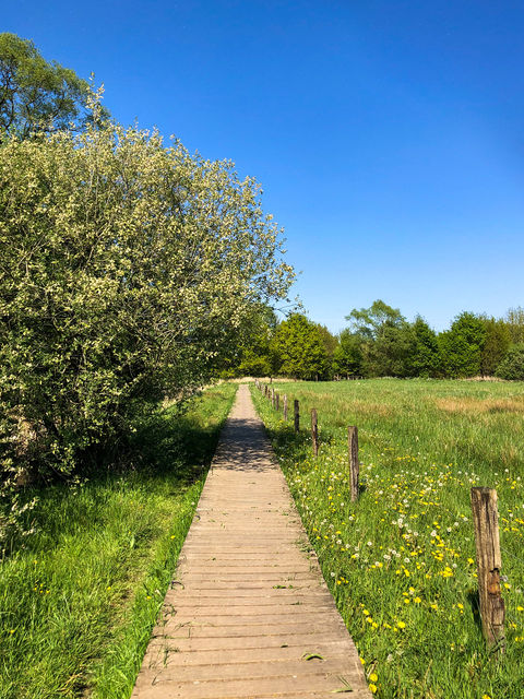 Dode Bemde Oud-Heverlee wandelen