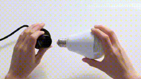 24-1.gif